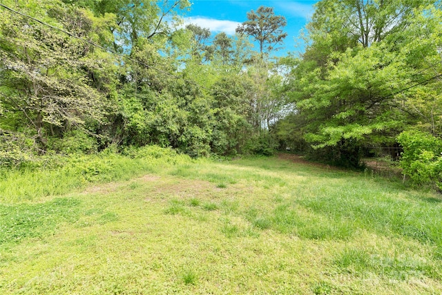 view of yard featuring a forest view