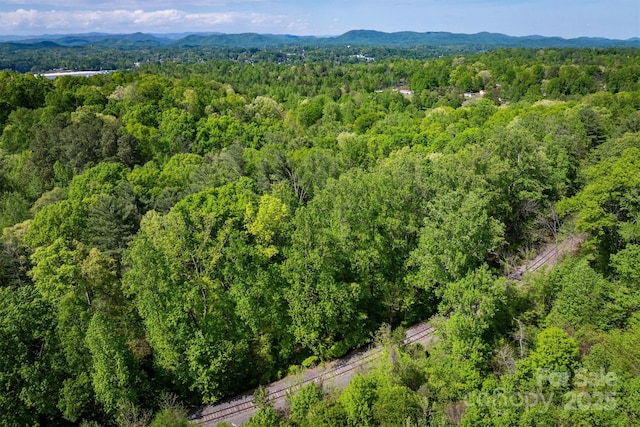 1329 Overlook Dr SW, Lenoir, NC 28645 - photo 2