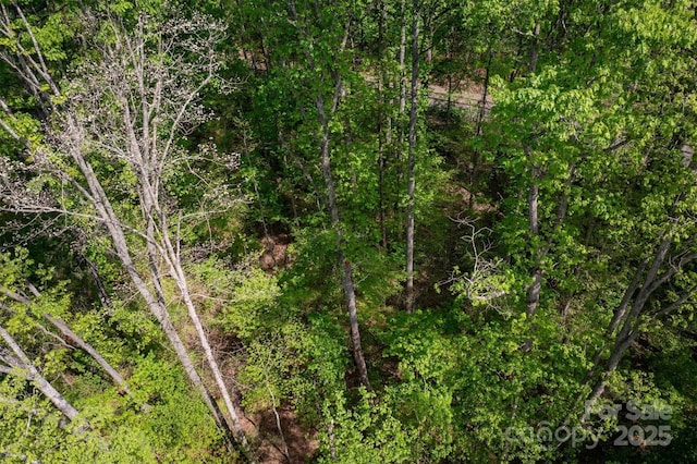 1329 Overlook Dr SW, Lenoir, NC 28645 - photo 11