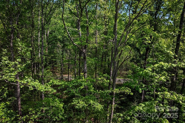 1329 Overlook Dr SW, Lenoir, NC 28645 - photo 12