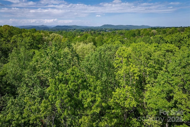 1329 Overlook Dr SW, Lenoir, NC 28645 - photo 13