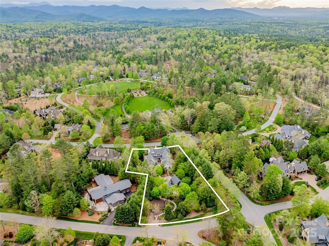 32 Ramble Way, Asheville, NC 28803 - photo 4