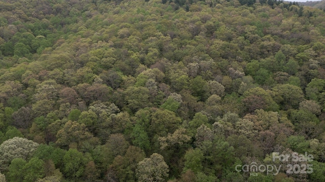 TBD Clear Creek Rd, Burnsville, NC 28714