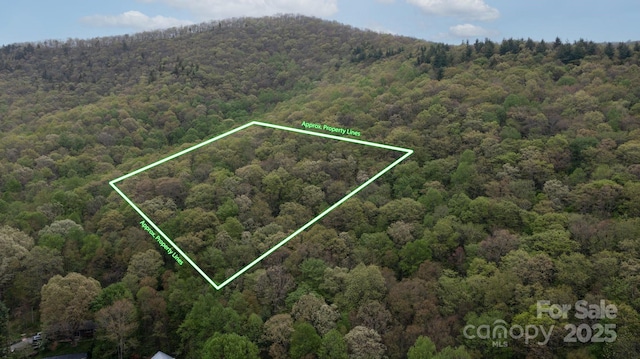 TBD Clear Creek Rd, Burnsville, NC 28714
