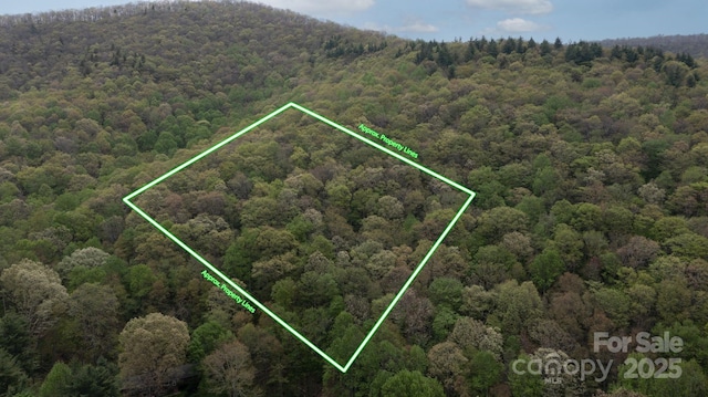 TBD Clear Creek Rd, Burnsville, NC 28714