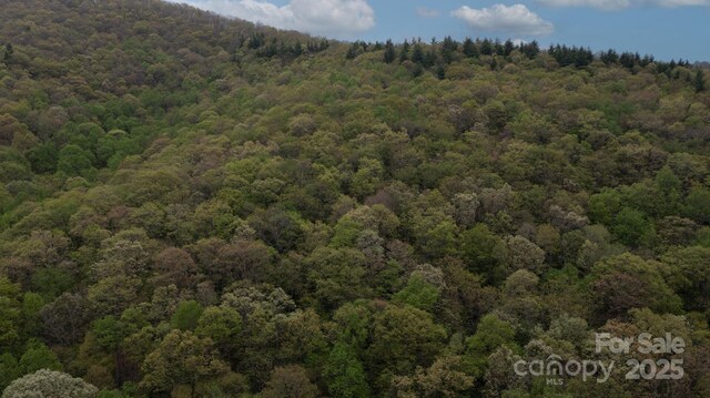TBD Clear Creek Rd, Burnsville, NC 28714