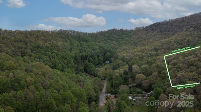 TBD Clear Creek Rd, Burnsville, NC 28714