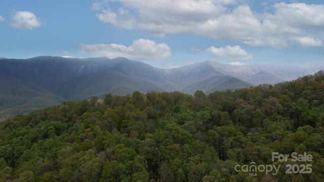 TBD Clear Creek Rd, Burnsville, NC 28714