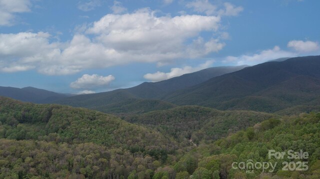 TBD Clear Creek Rd, Burnsville, NC 28714