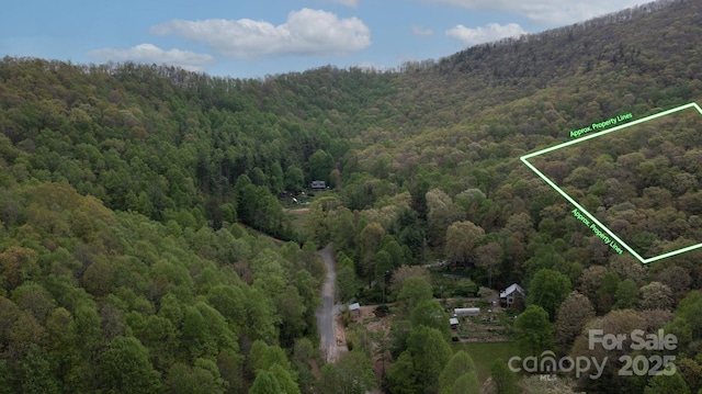 TBD Clear Creek Rd, Burnsville, NC 28714