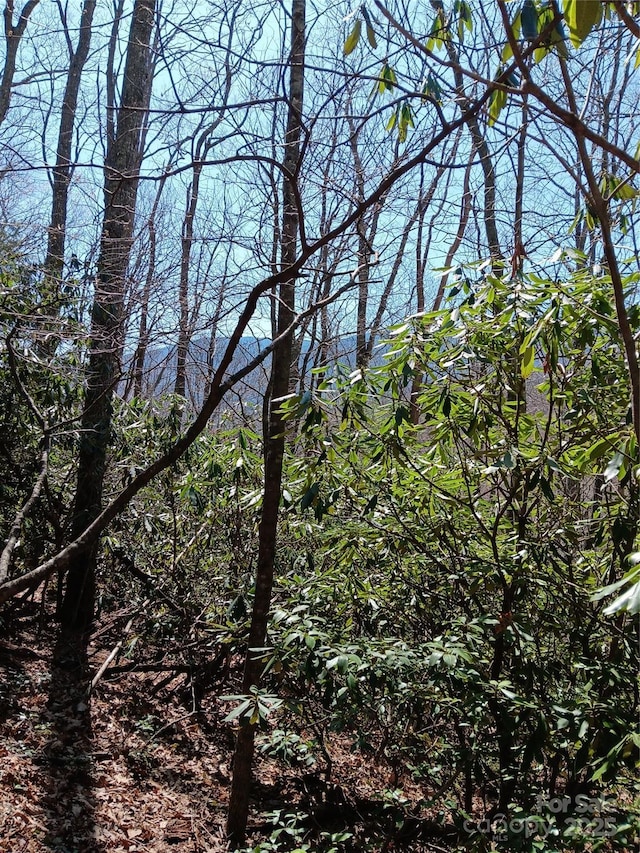 TBD Clear Creek Rd, Burnsville, NC 28714