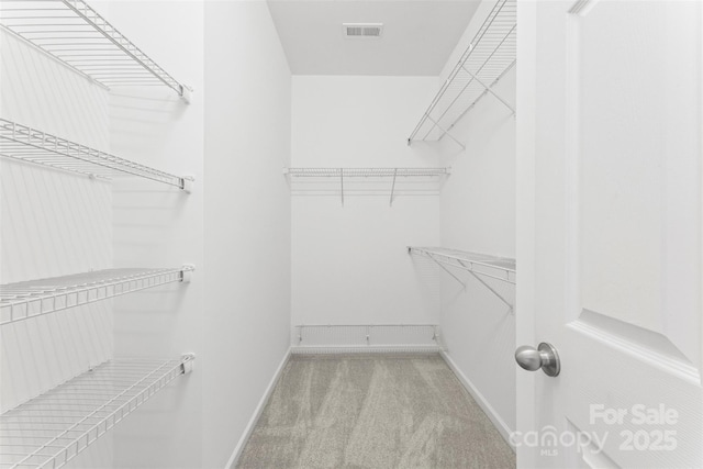 2151 Belle Vernon Ave, Charlotte, NC 28210 - walk in closet featuring carpet floors