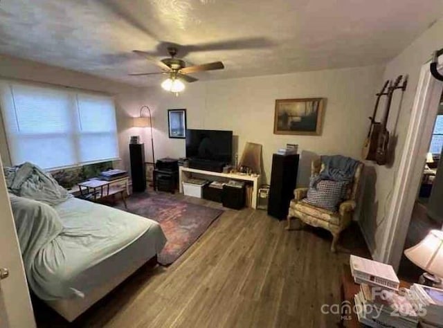 910 Mcgowan Rd, Shelby, NC 28150 - living room with a ceiling fan, wood finished floors, and plenty of natural light