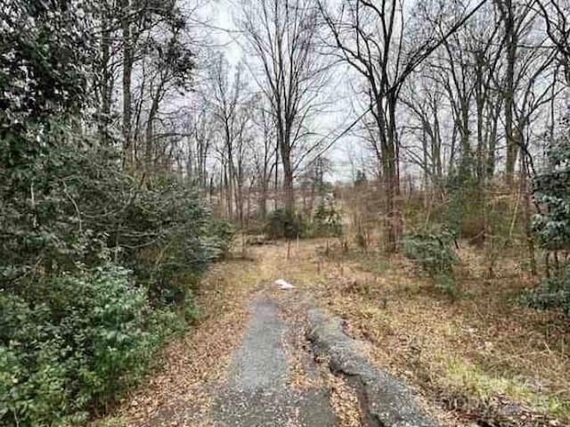910 Mcgowan Rd, Shelby, NC 28150 - view of yard