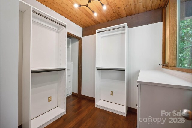 spacious closet featuring dark wood-style floors