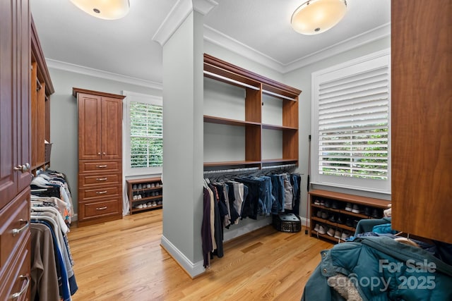 206 Stone Valley Way Unit 23, Hendersonville, NC 28792 - spacious closet featuring light wood-type flooring