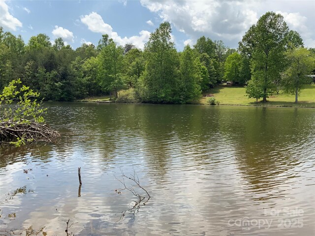 0 Navaho Trl Unit 19, Rutherfordton, NC 28139