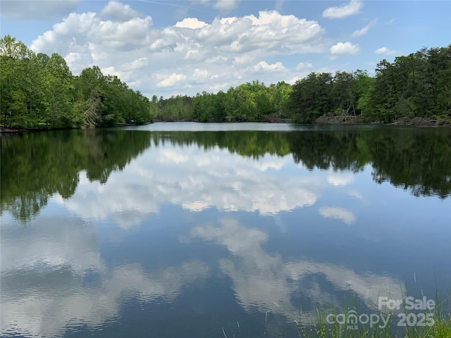 0 Navaho Trl Unit 19, Rutherfordton, NC 28139
