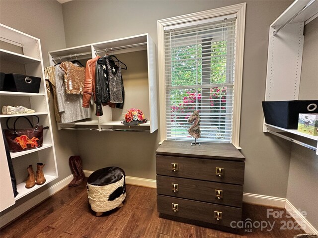 walk in closet with dark wood-style flooring
