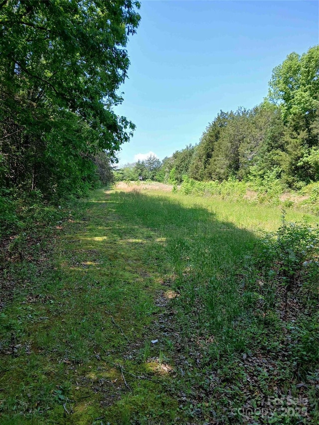 view of nature