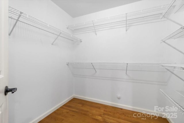 spacious closet featuring wood finished floors