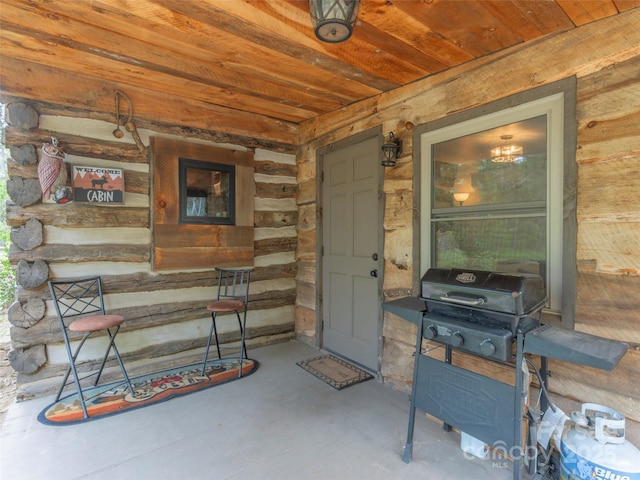 9386 Cruso Rd, Canton, NC 28716 - photo 28