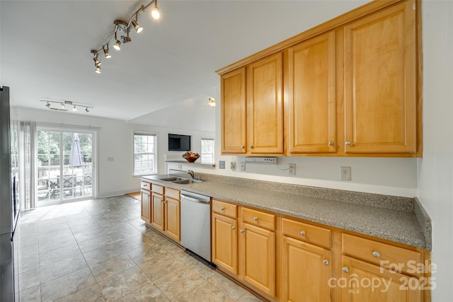 1835 Montague Rd, Clover, SC 29710 - kitchen featuring stainless steel dishwasher, a sink, open floor plan, light tile patterned floors, and rail lighting