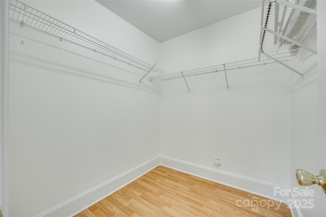 1835 Montague Rd, Clover, SC 29710 - spacious closet with light wood-style floors
