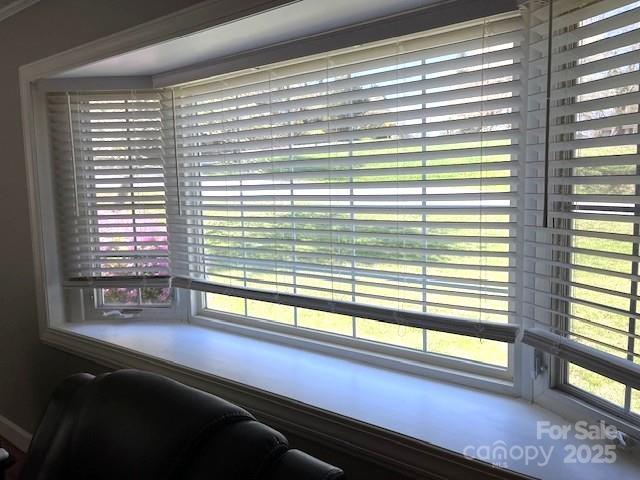 323 Hibriten Dr SE, Lenoir, NC 28645 - view of room details