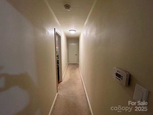 323 Hibriten Dr SE, Lenoir, NC 28645 - hall with crown molding, baseboards, and light carpet