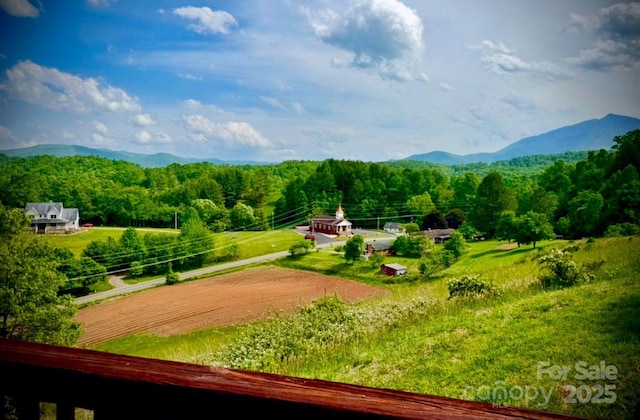 2521 Double Island Rd, Green Mountain, NC 28740 - photo 5