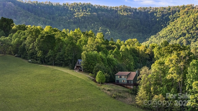 2521 Double Island Rd, Green Mountain, NC 28740 - photo 7