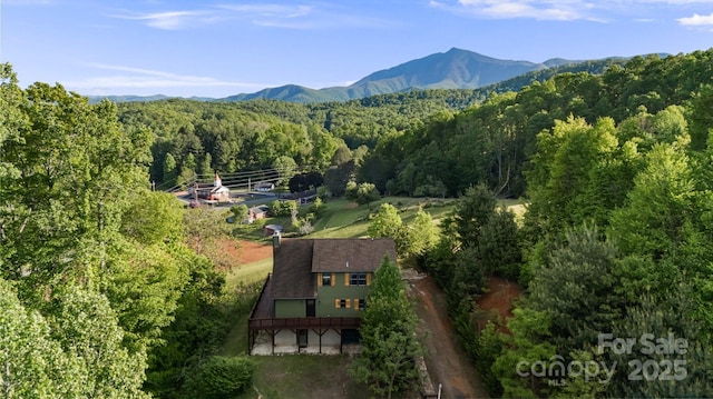 2521 Double Island Rd, Green Mountain, NC 28740 - photo 8