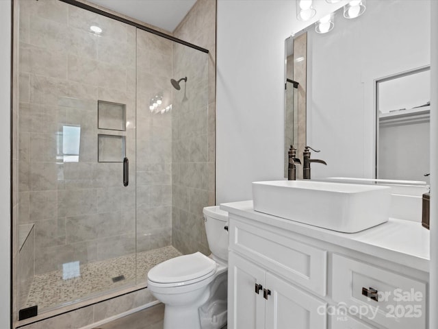 8044 Edgewater Dr Unit 100, Norwood, NC 28128 - bathroom featuring vanity, toilet, and a shower stall