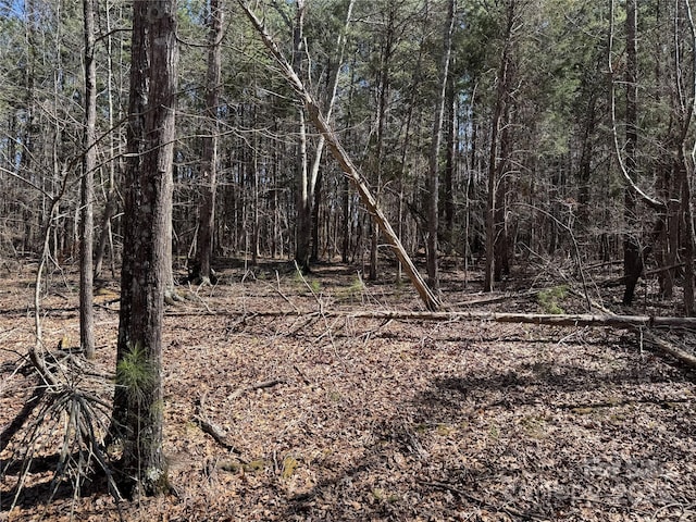 1905-A Bechtler Rd, Edgemoor, SC 29712 - view of nature