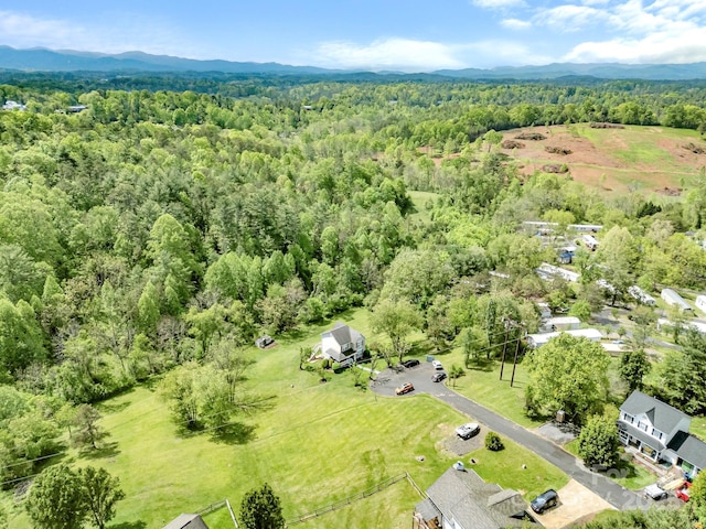 166 Kennedy Rd, Weaverville, NC 28787 - drone / aerial view of a heavily wooded area