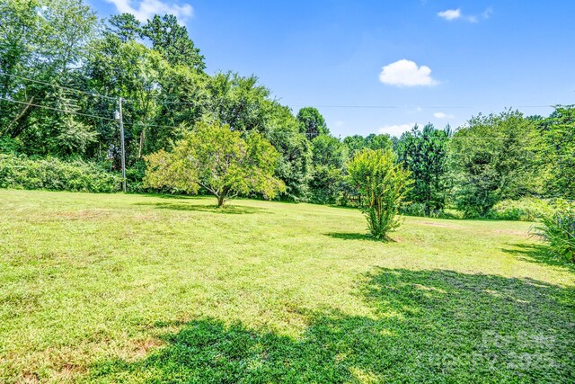 10230 Hagers Rd, Huntersville, NC 28078 - photo 42