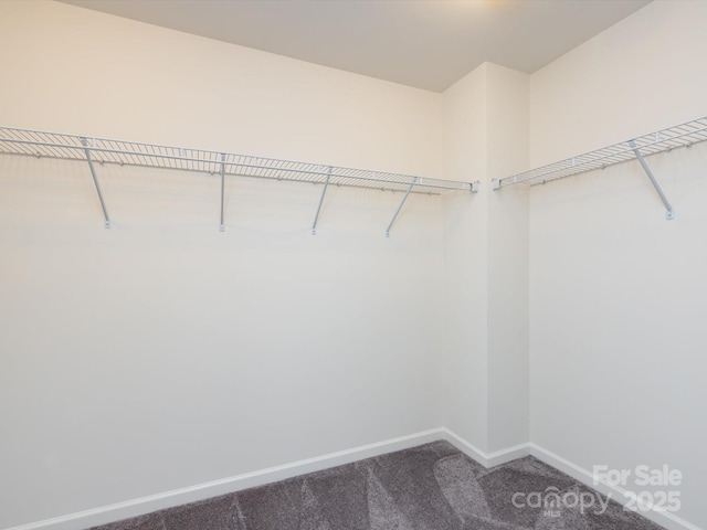 walk in closet featuring dark carpet