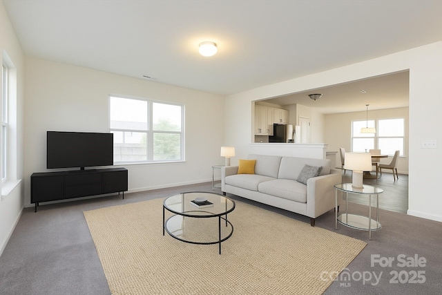 1523 Loropetalum Rd, Charlotte, NC 28215 - living area with baseboards and carpet flooring