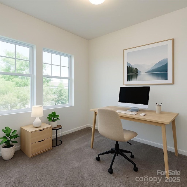 1523 Loropetalum Rd, Charlotte, NC 28215 - carpeted office space with baseboards and a wealth of natural light