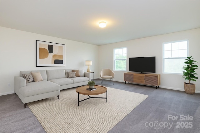 1523 Loropetalum Rd, Charlotte, NC 28215 - living area featuring baseboards and carpet