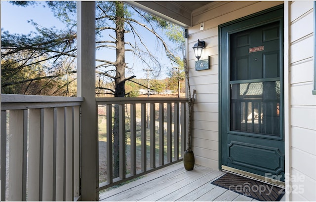 160 Whitney Blvd, Lake Lure, NC 28746 - view of exterior entry