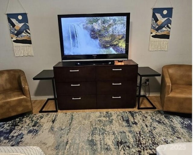 160 Whitney Blvd, Lake Lure, NC 28746 - living area featuring baseboards and wood finished floors