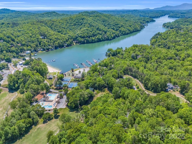 160 Whitney Blvd, Lake Lure, NC 28746 - birds eye view of property featuring a water and mountain view and a view of trees