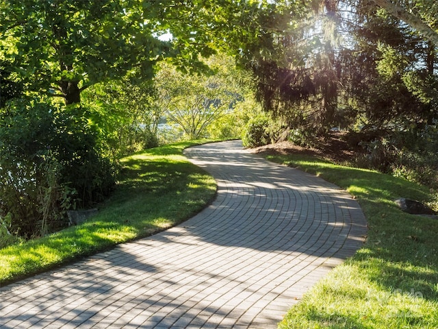view of property's community with a yard