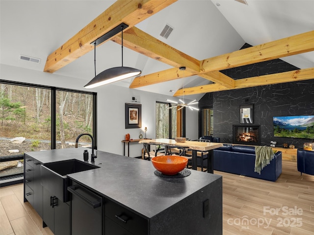 80 Hemlock Cir, Black Mountain, NC 28711 - kitchen with dark cabinets, a sink, plenty of natural light, and a kitchen island with sink