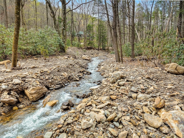 80 Hemlock Cir, Black Mountain, NC 28711 - view of woods