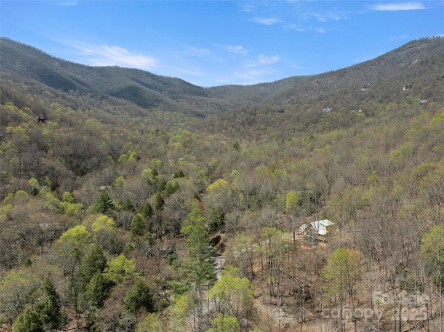 80 Hemlock Cir, Black Mountain, NC 28711 - view of mountain backdrop featuring a heavily wooded area