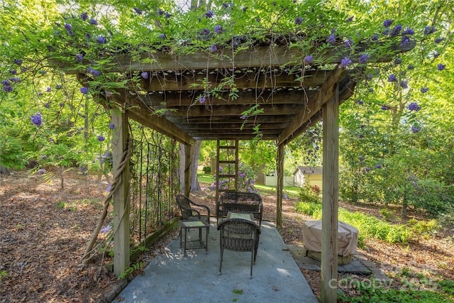 view of patio / terrace featuring a storage unit