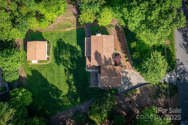 bird's eye view